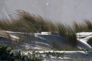 mikebaird on flickr